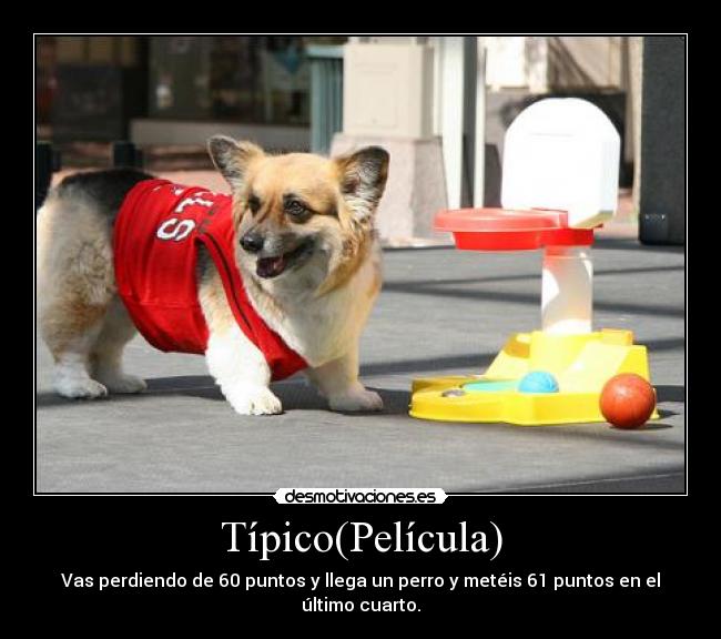 Típico(Película) - Vas perdiendo de 60 puntos y llega un perro y metéis 61 puntos en el último cuarto.