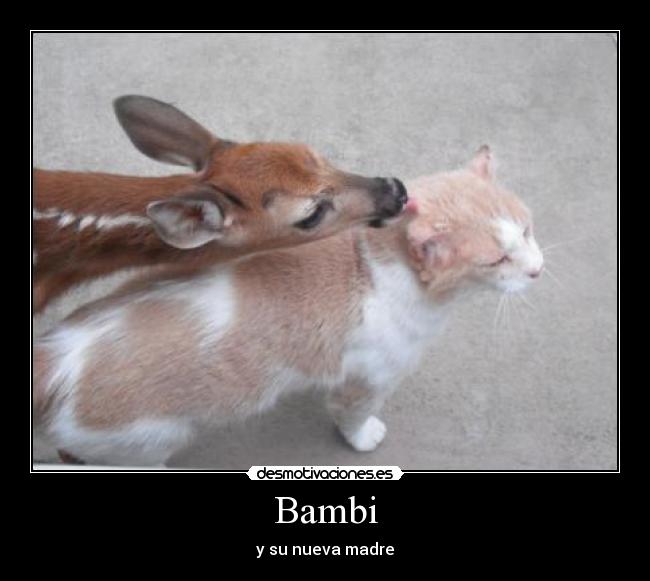 Bambi -