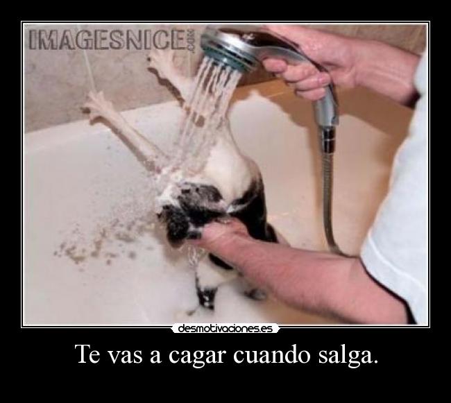 Te vas a cagar cuando salga. - 