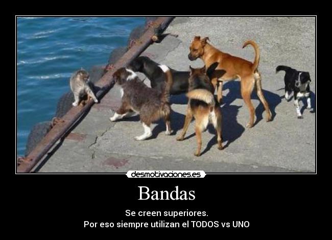 Bandas -