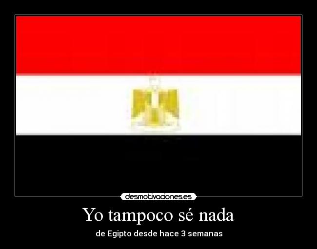 Yo tampoco sé nada -