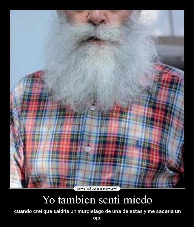 Yo tambien senti miedo - cuando crei que saldria un murcielago de una de estas y me sacaria un ojo.