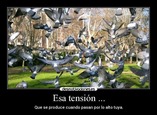 Esa tensión ... -
