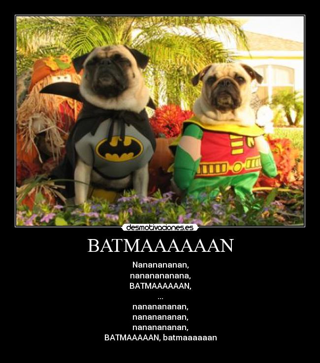 BATMAAAAAAN - Nananananan,
nananananana,
BATMAAAAAAN,
...
nananananan,
nananananan,
nananananan,
BATMAAAAAN, batmaaaaaan