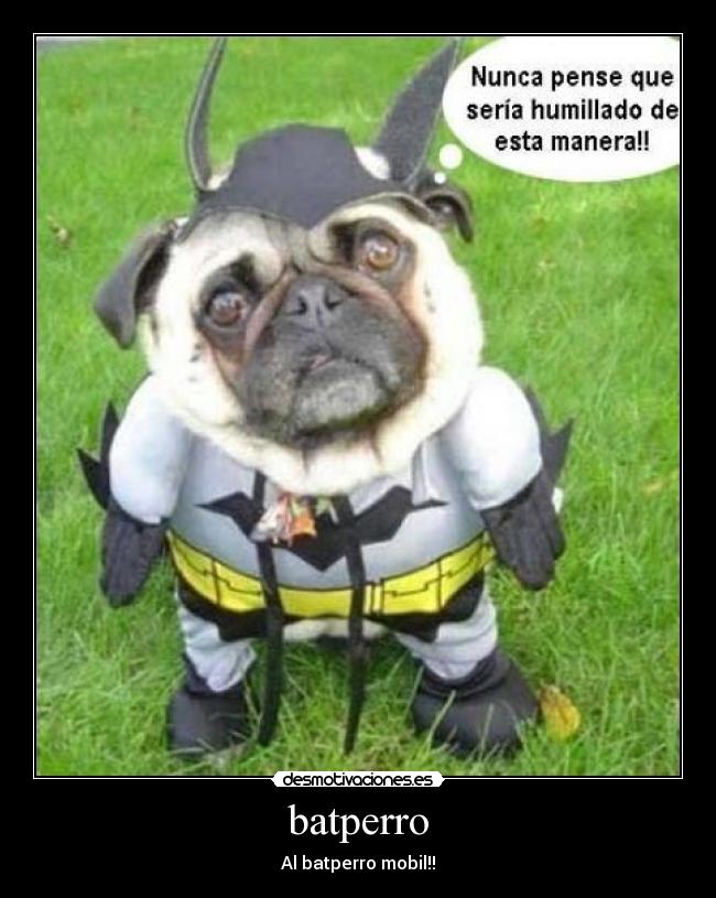 batperro - Al batperro mobil!!