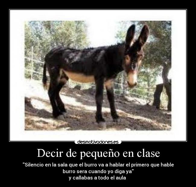 Decir de pequeño en clase - Silencio en la sala que el burro va a hablar el primero que hable
burro sera cuando yo diga ya
y callabas a todo el aula 