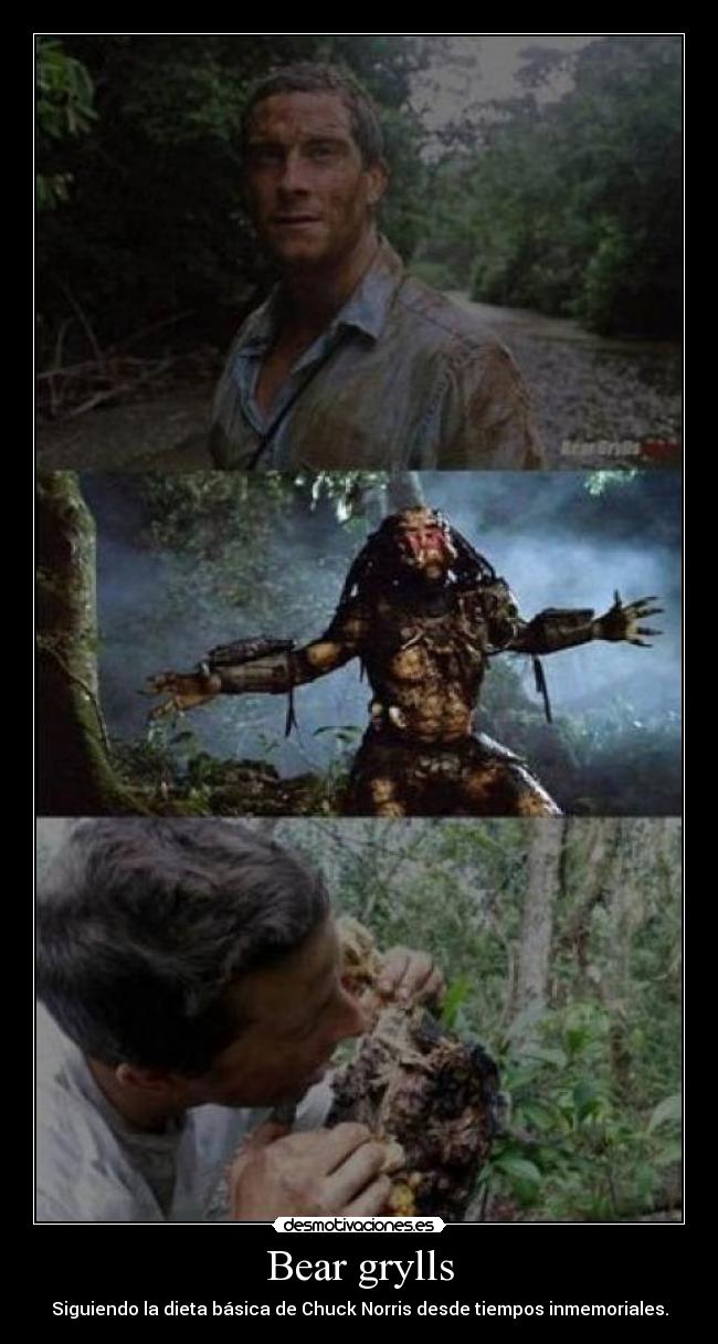 Bear grylls - Siguiendo la dieta básica de Chuck Norris desde tiempos inmemoriales.