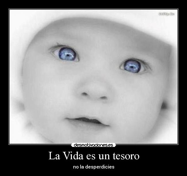 La Vida es un tesoro - 