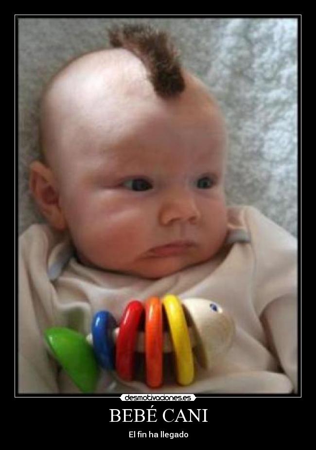 BEBÉ CANI - El fin ha llegado