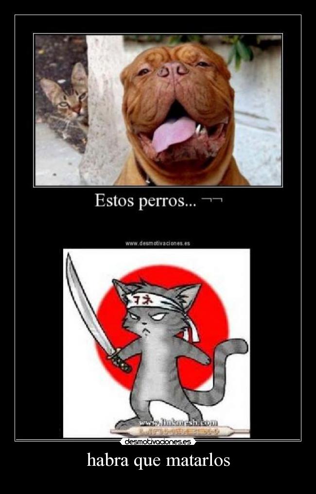 habra que matarlos -