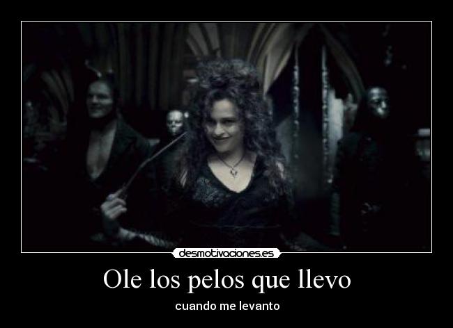 Ole los pelos que llevo - cuando me levanto