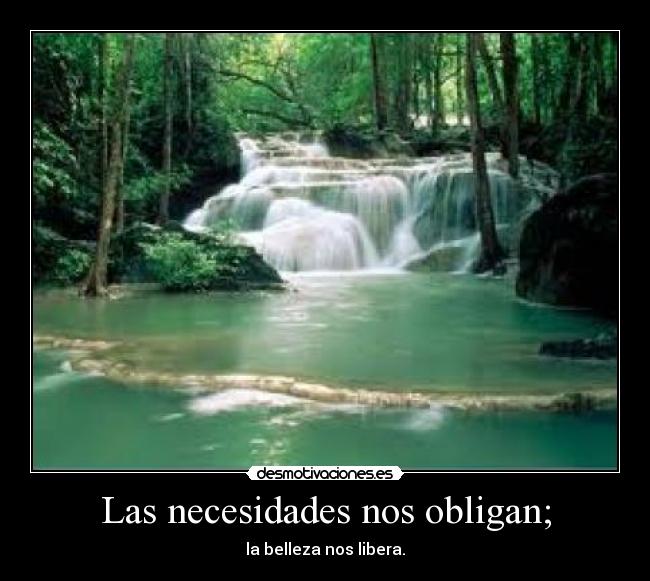 Las necesidades nos obligan; - la belleza nos libera.