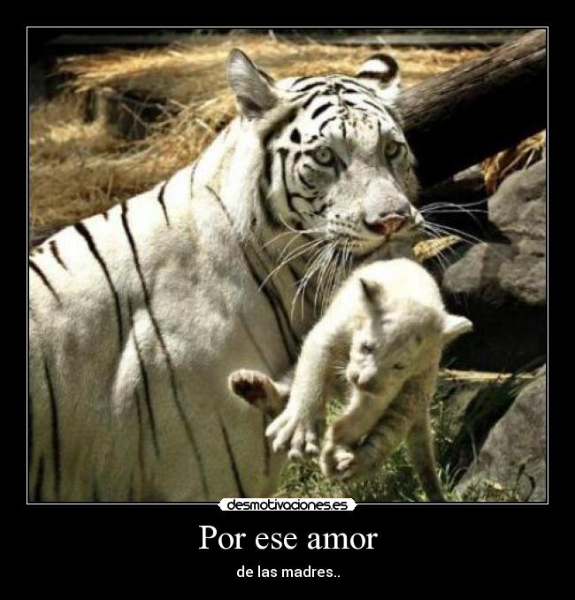Por ese amor - de las madres..