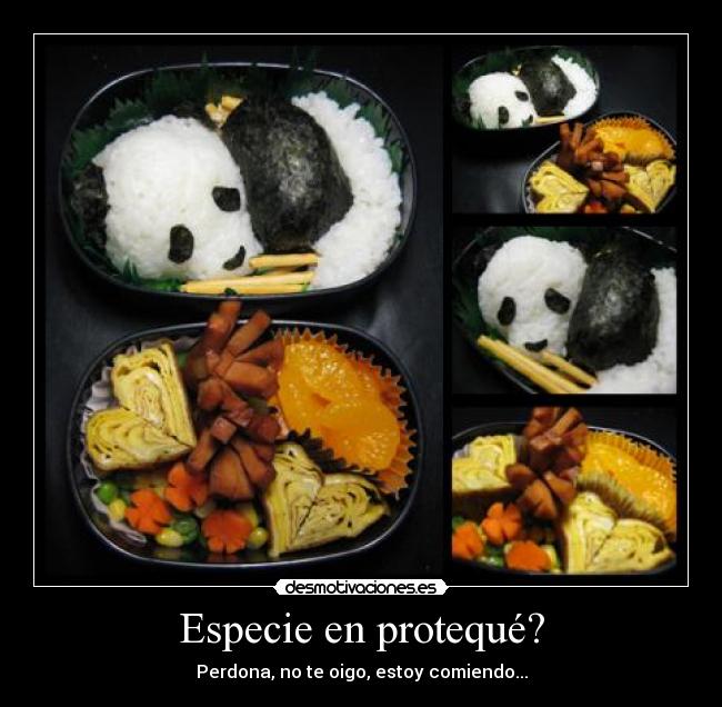 carteles especie proteque desmotivaciones