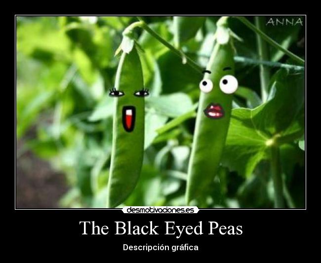 The Black Eyed Peas - 