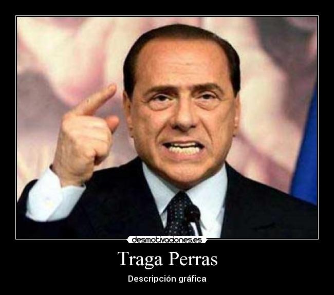 Traga Perras - Descripción gráfica
