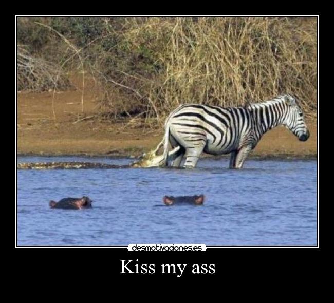 Kiss my ass -