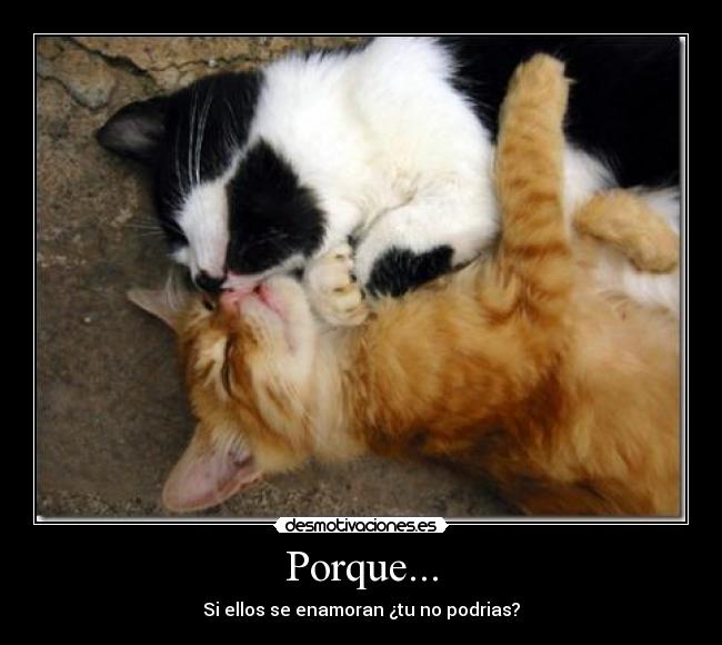 carteles aaaaaaaaaaaaaaaaaaaaaaaaaaaaaaaaaaaaaaa desmotivaciones