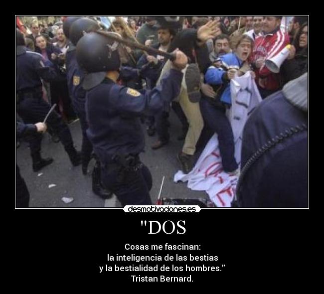 carteles bestialidad desmotivaciones