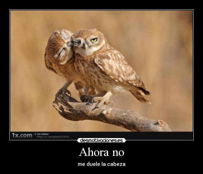 Ahora no - me duele la cabeza