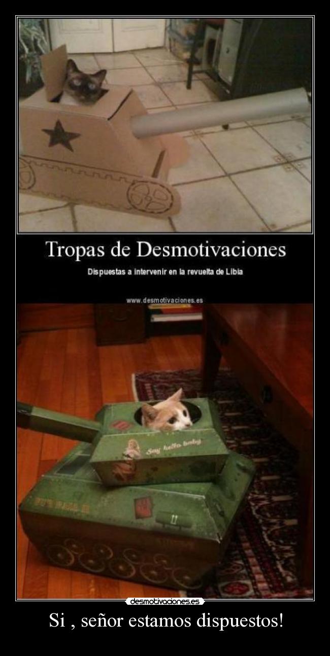 Si , señor estamos dispuestos! -