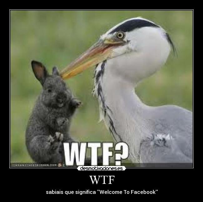 WTF - sabiais que significa Welcome To Facebook