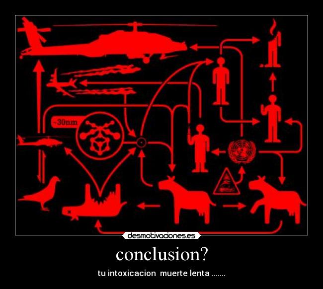 conclusion? -
