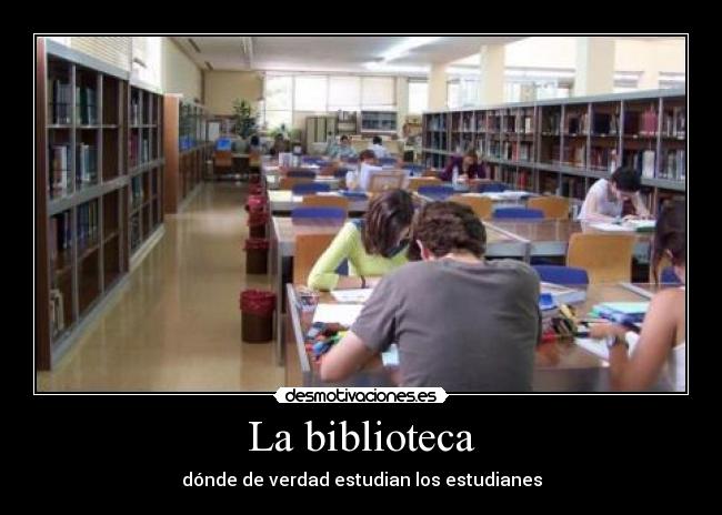 La biblioteca - dónde de verdad estudian los estudianes