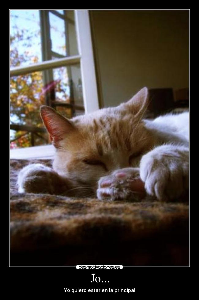Jo... - Yo quiero estar en la principal