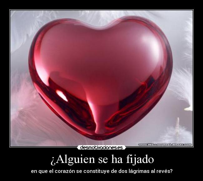 ¿Alguien se ha fijado - en que el corazón se constituye de dos lágrimas al revés?