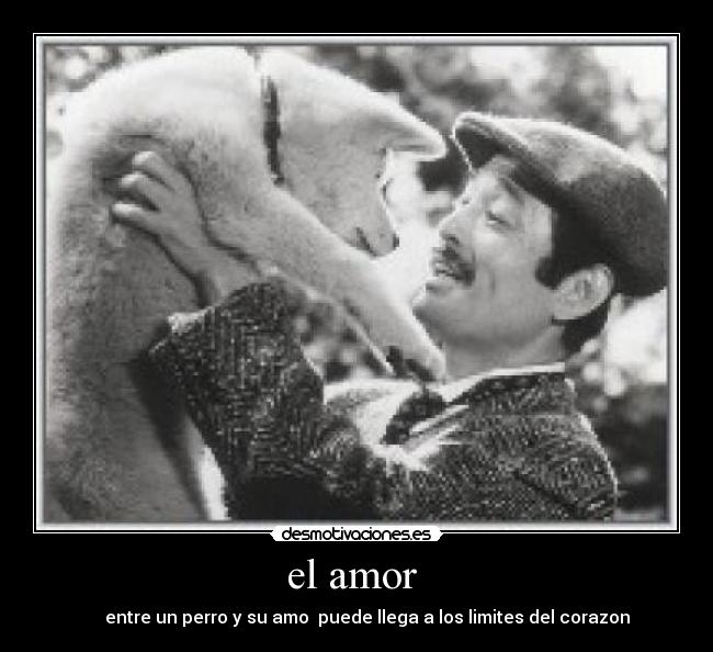 el amor  - 