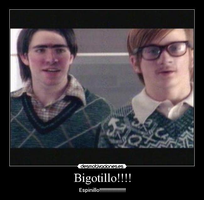 Bigotillo!!!! -