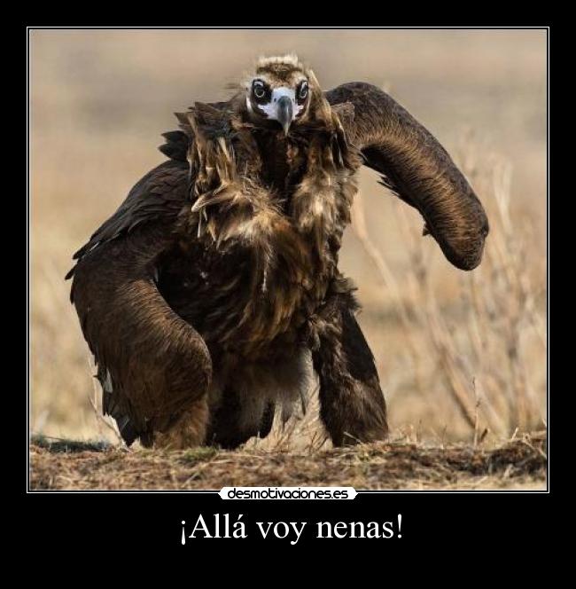 ¡Allá voy nenas! - 