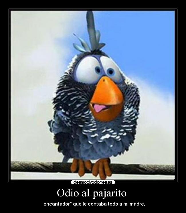 Odio al pajarito -