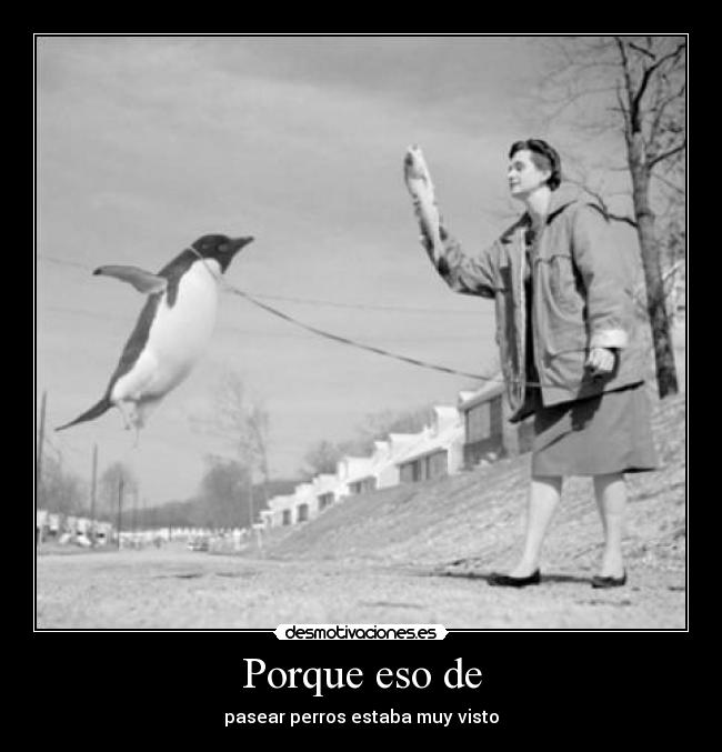 Porque eso de - pasear perros estaba muy visto