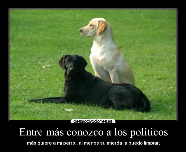 Entre más conozco a los políticos - más quiero a mi perro…al menos su mierda la puedo limpiar.