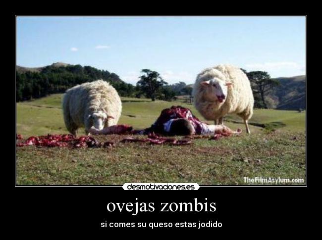 ovejas zombis - 