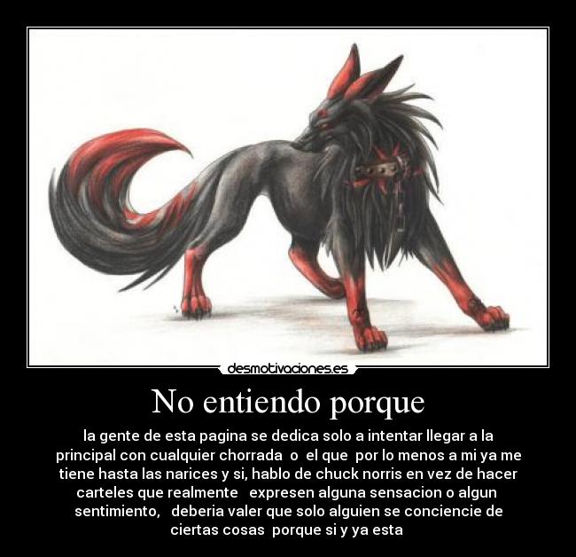 No entiendo porque - 