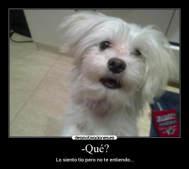 -Qué? - 