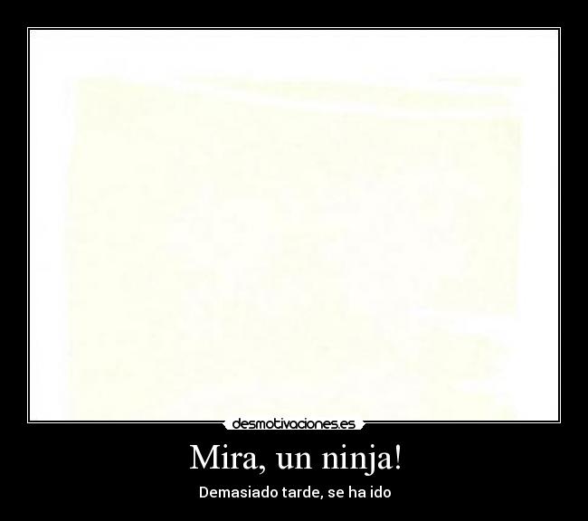 Mira, un ninja! - Demasiado tarde, se ha ido