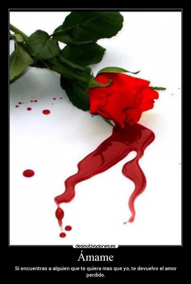 Ámame -