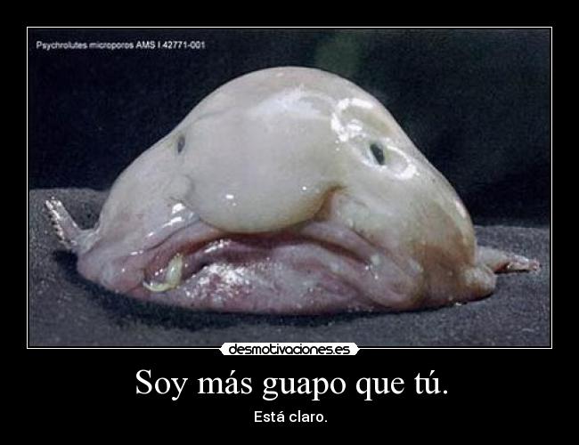 Soy más guapo que tú. - Está claro.