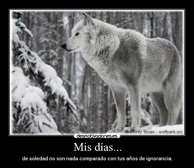 Mis días... - 