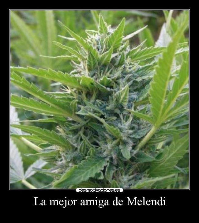 La mejor amiga de Melendi -