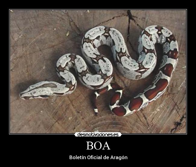 BOA - 