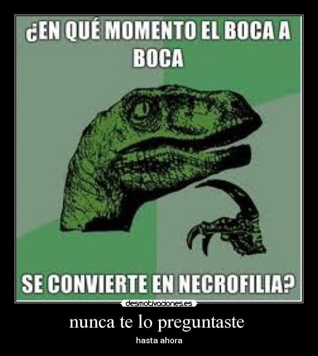 nunca te lo preguntaste  - 
