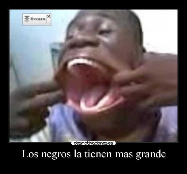 Los negros la tienen mas grande - 
