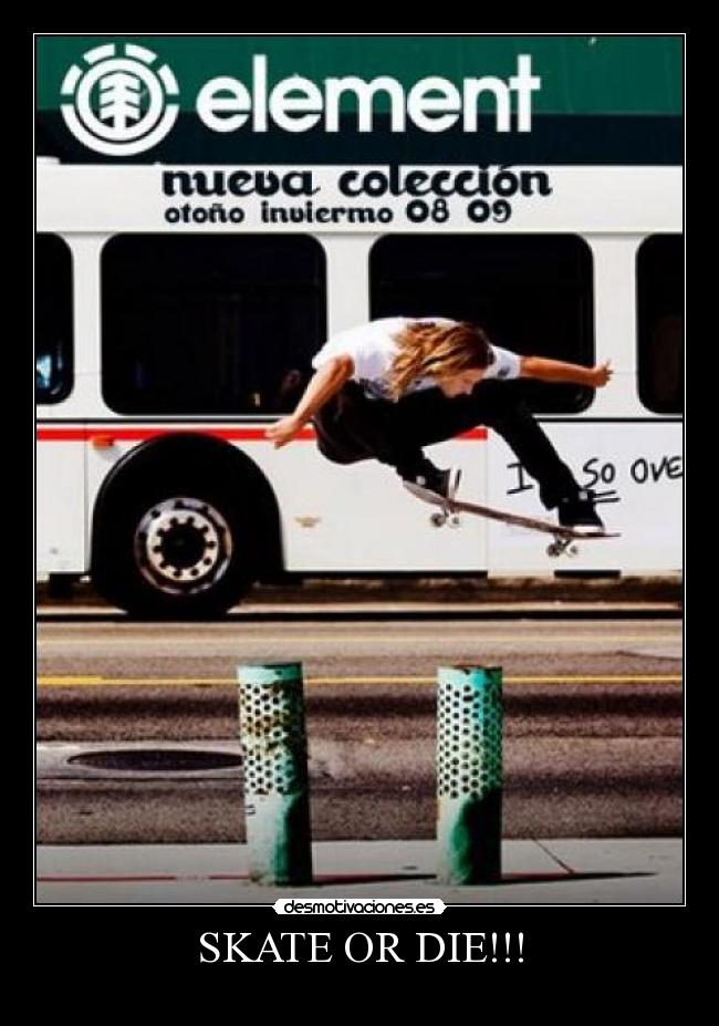 SKATE OR DIE!!! - 