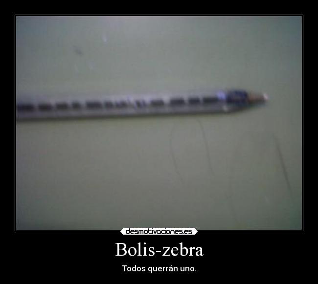 Bolis-zebra - Todos querrán uno.