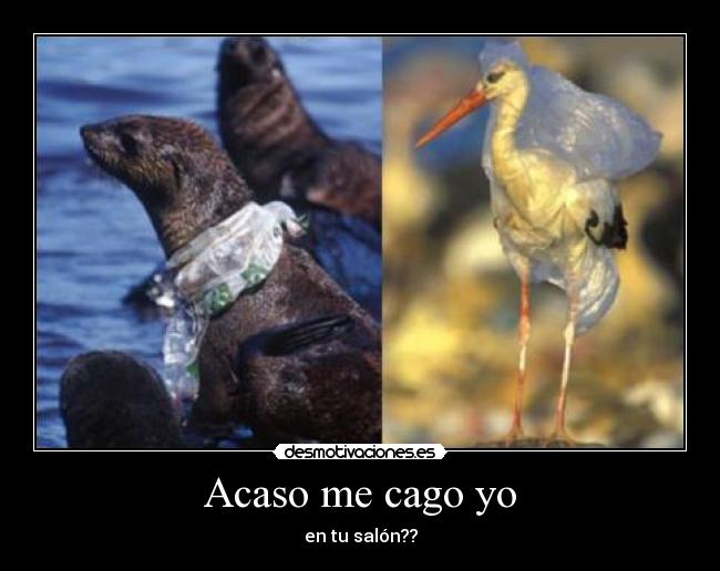 Acaso me cago yo - en tu salón??